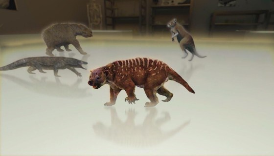 COM'ERANO FATTI GLI ANIMALI PREISTORICI